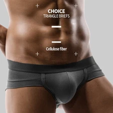 Men's U Convex Pouch Boxer Briefs Low-rise Modal Panties Solid Youth Underwear
