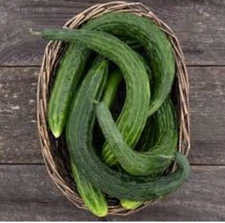 60 organic SUYO LONG SOOYOW SUHYO burpless Japanese cucumber seeds 帶刺小黃瓜 四葉胡瓜