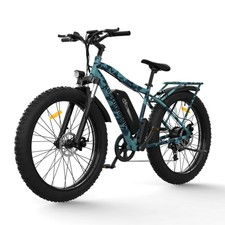 DJ Mid Drive Fat Bike 750w 48v 13ah 