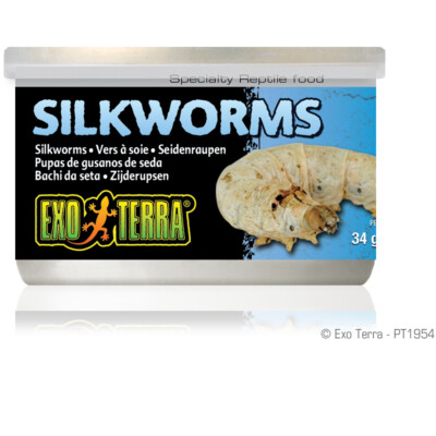 EXO TERRA SILKWORMS - 1.2 OZ