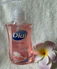 DIAL***HIMALAYAN SALT*** Hydrating Hand Soap~~~7.5 FL OZ/221 mL~~~BRAND NEW — photo 3