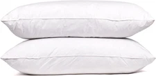 Standard Queen Size Feather Goose down Bed Pillow Set of 2 Pillows Bedding White