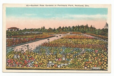 Sunken Rose Garden in Peninsula Park Portland, Oregon White Border Postcard