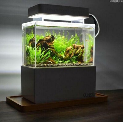 world's smallest aquarium with sump