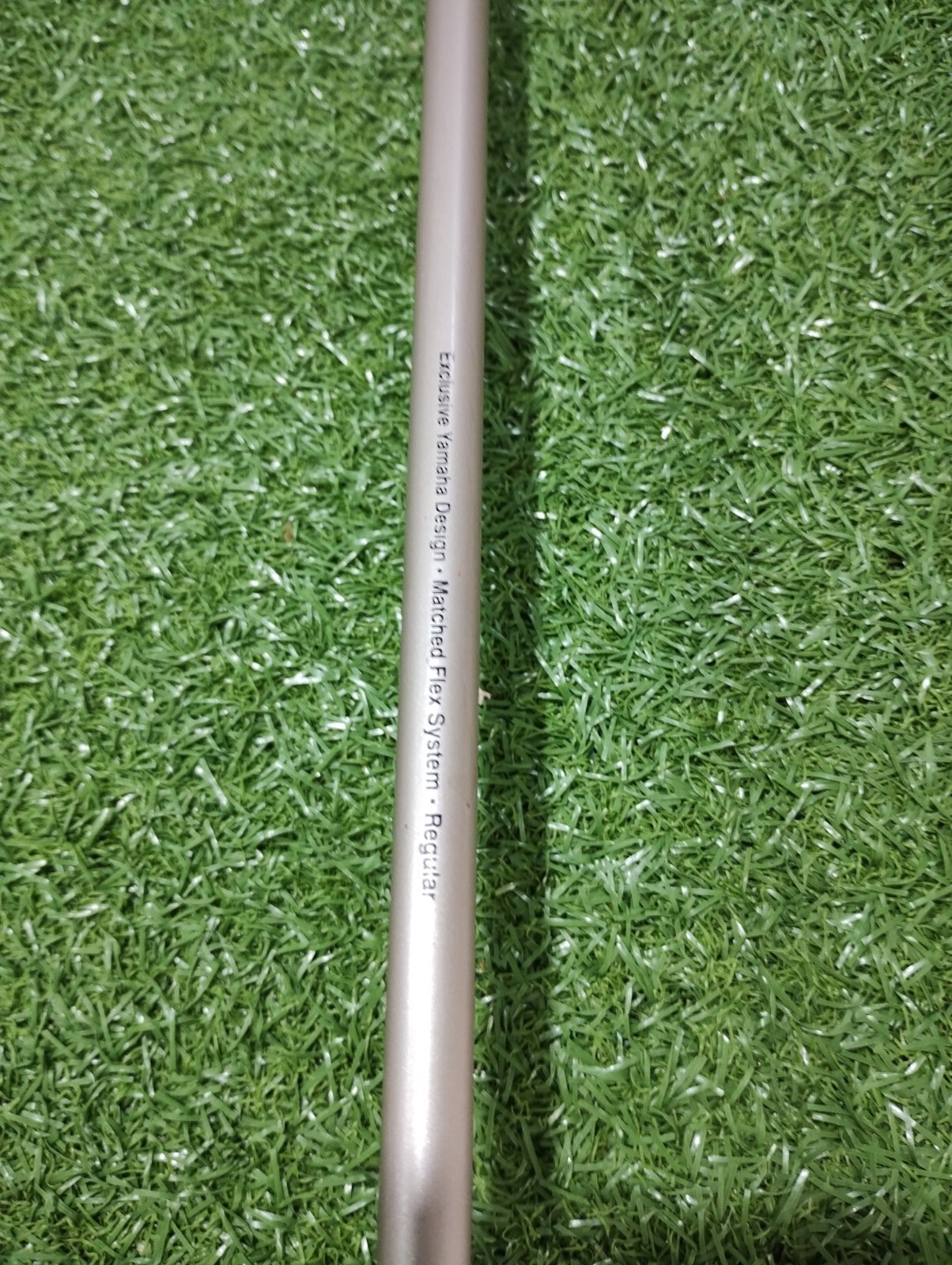 Picture 4 of 5