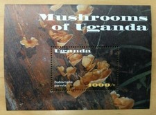 Uganda 2002 - MUSHROOMS OF UGANDA - Souvenir Sheet (Scott #1783) - MNH