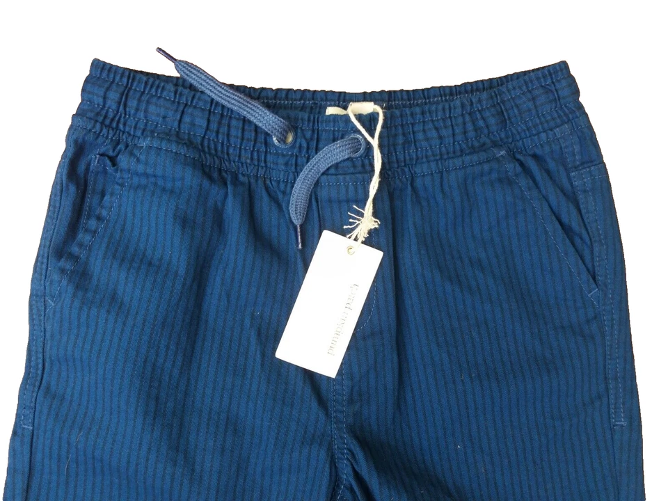 Pumpkin Patch Boys Kids Shorts Blue Stripe  Pull on Shorts Size 11 - image 3 of 4