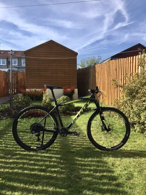 ebay hardtail