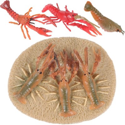 Miniatur-hummerwachstumsmodell Kinderspielzeug Wachstumszyklusspielzeug