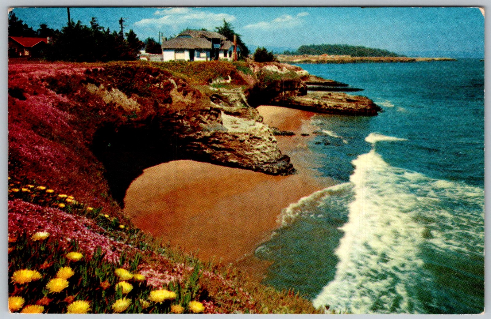Vtg Postcard West Cliff Drive Ocean Santa Cruz, CA 1950s