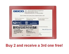 Red Car Insurance Registration Document Holder - 1 Pack