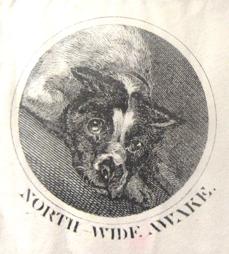 NORTH WIDE AWAKE 1861 CIVIL WAR illustrated envelope
