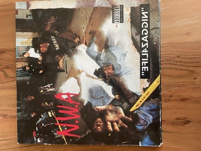Vynil Platten Sammlung/NWA/Ice Cube/Ice-T/Reinhard Mey/ALF
