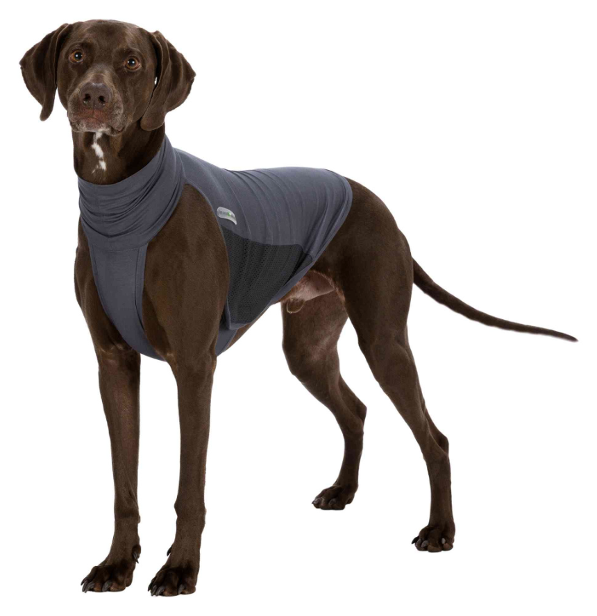 Dog Insect protection Shield Vest invisible odourless repels mosquitoes  ticks