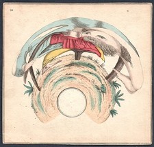 C. 1800 Vieil Homme Râteaux Anamorphose Anamorphoses Jeux Optiques