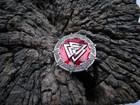 Foto 12 di 12