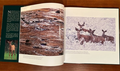 MONTANA WILDLIFE PORTFOLIO - Donald M Jones - illustrated HC BOOK w/dust jacket - Bild 2 von 9