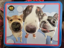 Tin Lunchbox - Hana Deka Club Lunchbox Yonea Morita 2004 Dog Design Lunch box