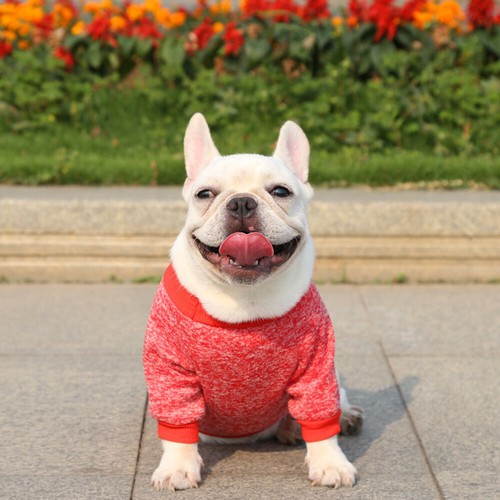 Puppy Dog Cat Winter Warm Fleece Vest Clothes Pet T Shirt Sweater Apparel Coat - Picture 16 of 31