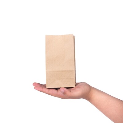 200 Pack - Mini Brown Kraft Paper Bag - Multipurpose Paper Bags (1 lb) Small