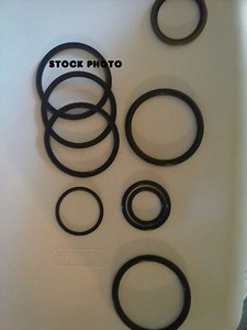 X2-Massey-Ferguson-236-Loader-tilt-Cylinder-two-Seal-Kits-837147M91