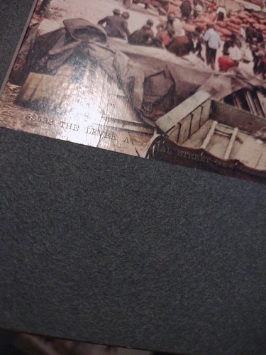 New Orleans Tinted Colored Photographs 1900s - Marx Art Store Detroit Photo Deco - Picture 5 of 13