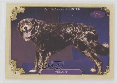 2024 Topps Allen & Ginter Best in Show Truant #SOS-4 3sh