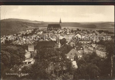 Schneeberg Erzgebirge Panorama mit St Wolfgangkirche