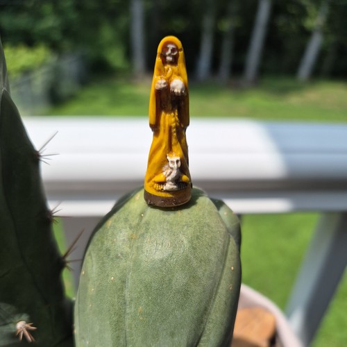 Santa Muerte. Activated