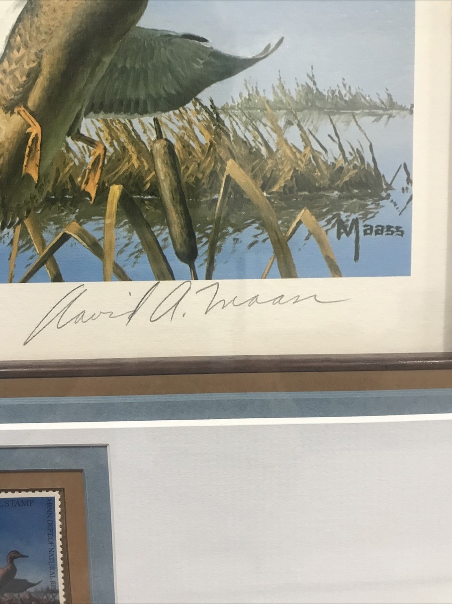 1977 Minnesota Duck (mallards) Print By David A. Maass Signed (10