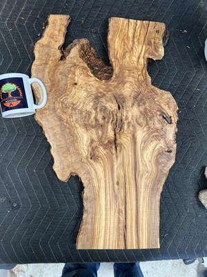 Olive wood slab salvaged Live Edge Craft Charcuterie Board 16x24 # 329 FREE ship
