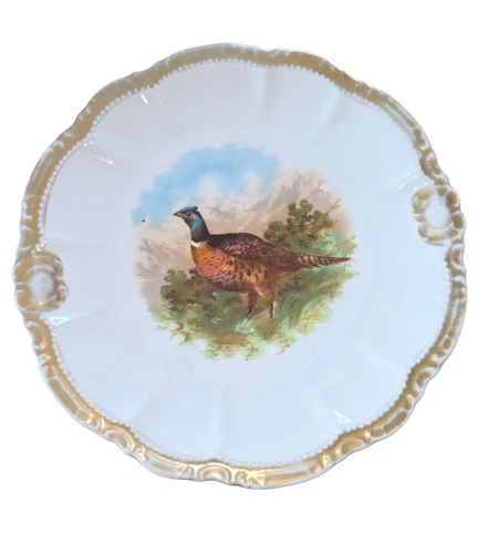 Antique Early 1900's PM Bavaria 9" Plate With Pheasant