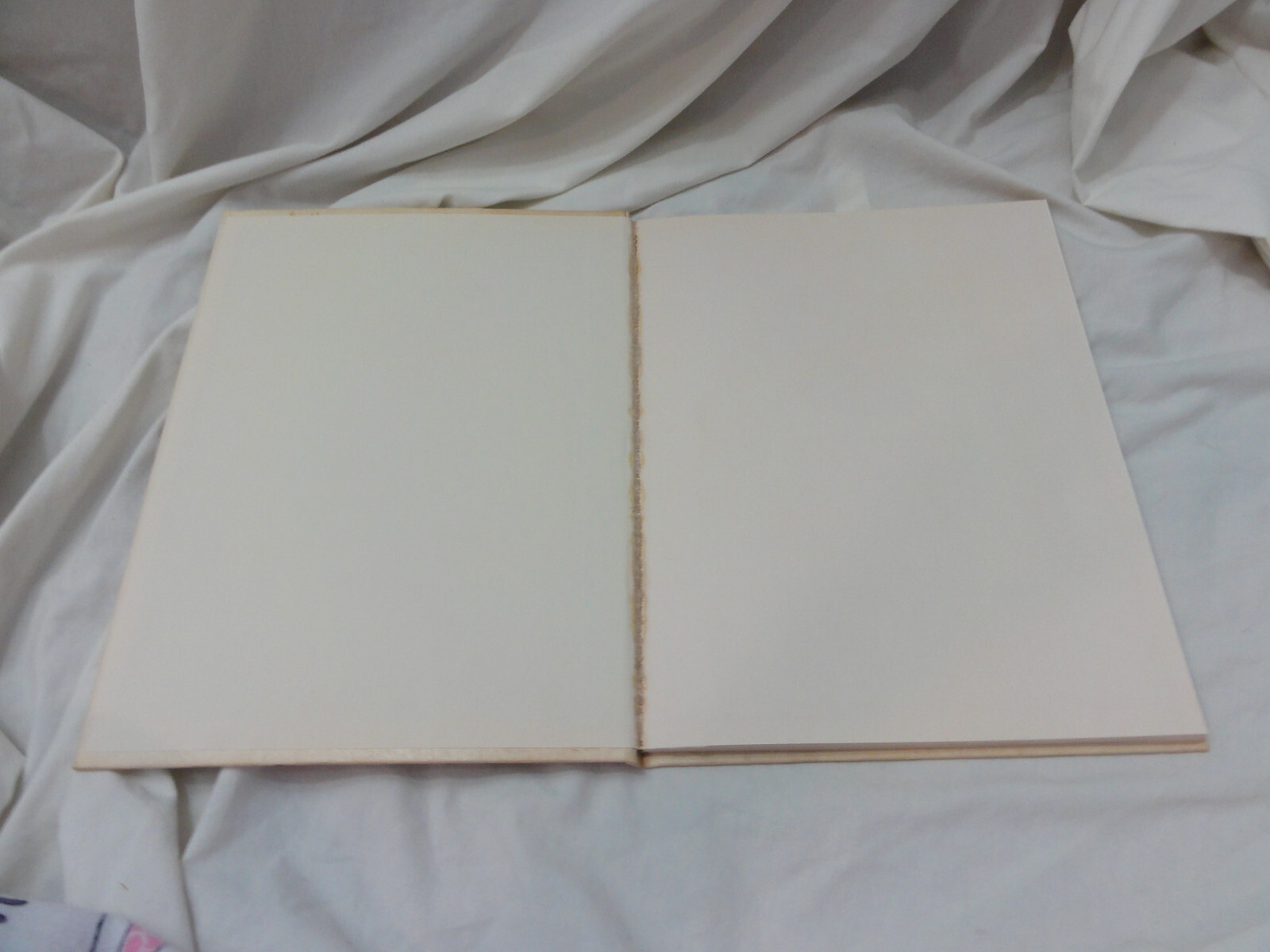 Picture 8 of 20