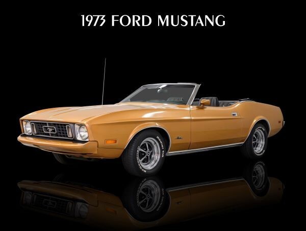 1973 Ford Mustang Convertible in Bronze NEW Metal Sign: 9x12
