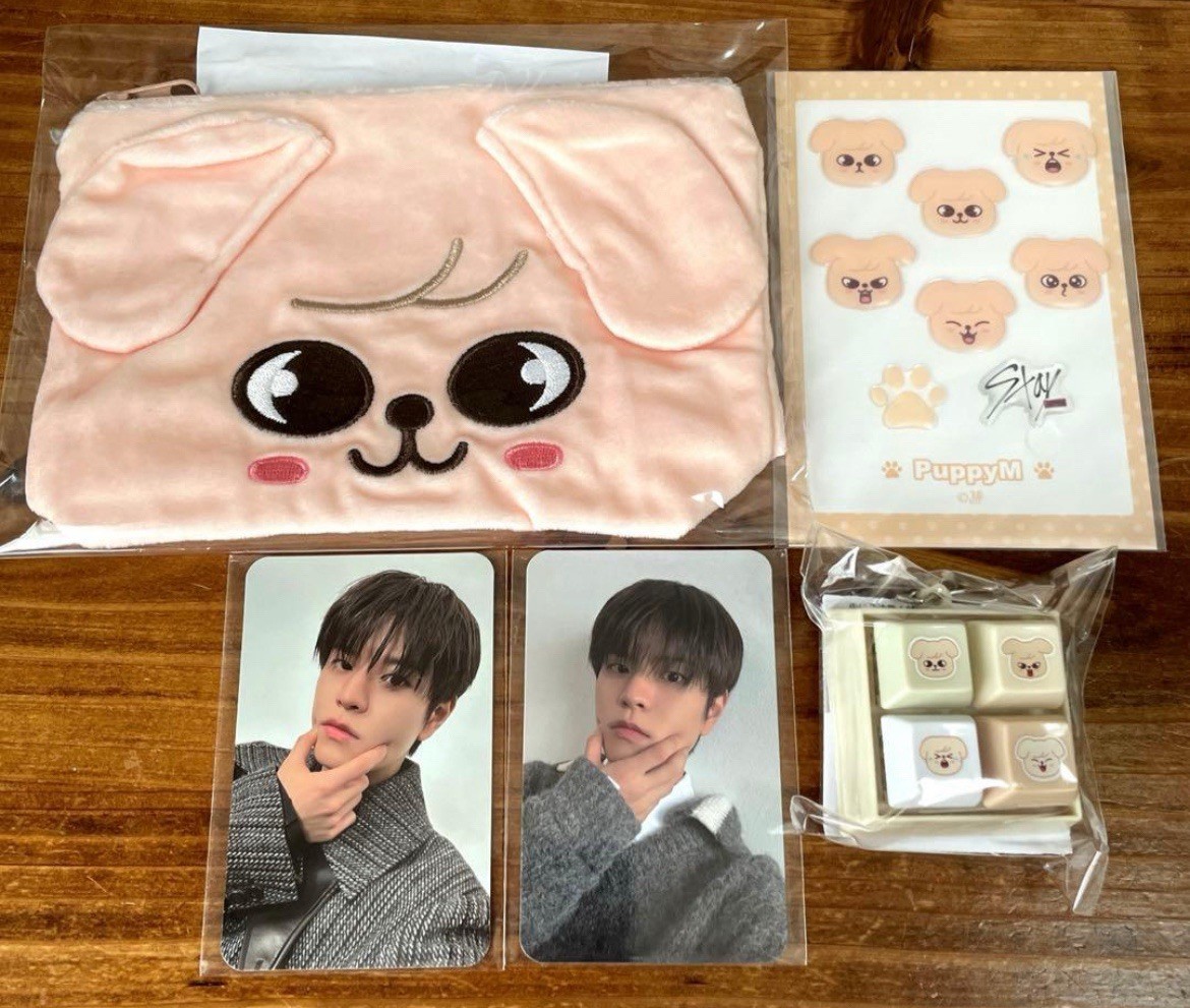 Seungmin PuppyM Stray Kids SKZOO We STAY,together Online kuji