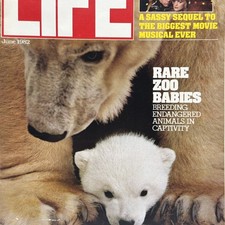 LIFE Magazine June 1982 Zoo Babies Polar Bears & Grease 2 Feature  Vintage
