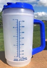 Plastic Insulated Clear Thermo 32oz Mug with Blue Flip Lid & Straw 2ct