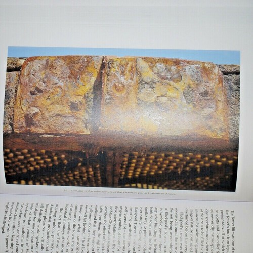 * Rare * Paul Dobraszczyk Iron,Ornament & Architecture in Victorian Britain 1st - Picture 4 of 8