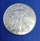 2019 American Silver Eagle Out Of A Fresh Roll (B5)