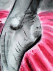 Bild 7 von 12