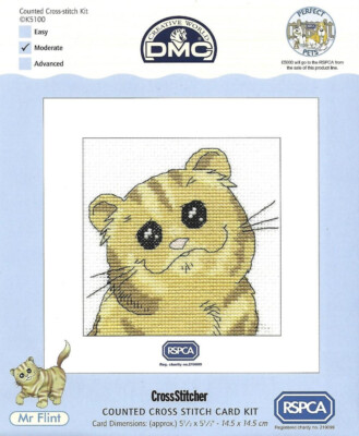 ''Mr Flint'' gezähltes Kreuzstich-Kartenset von DMC - K5100