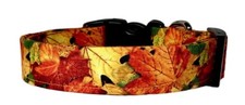Vibrant Autumn Maple Leaves Dog Collar - LARGE - 1" WIDE X 16  -26" LONG