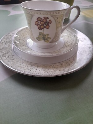 Queens Fine Bone China Auricula Collection, Teetasse, Untertasse, Beilagenteller