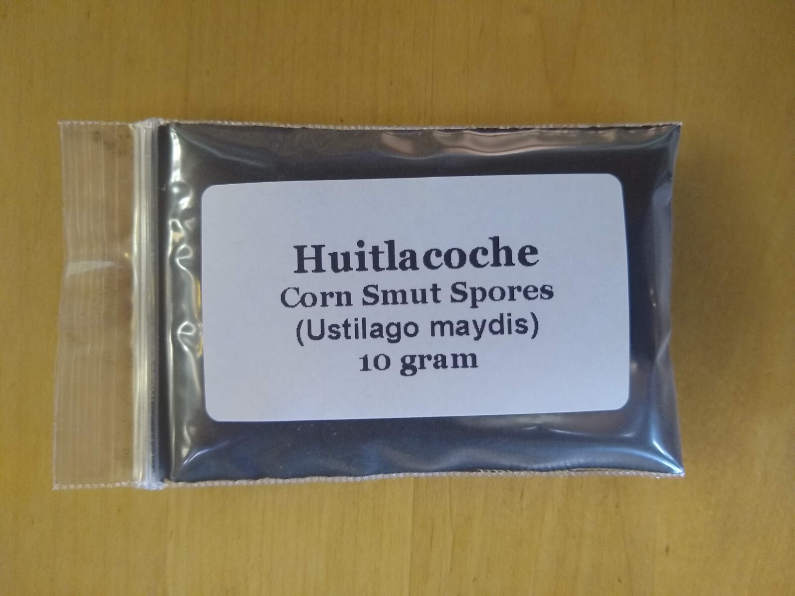 Huitlacoche Spores ~ Corn Fungus ~ (Ustilago maydis) ~ Corn Mushroom