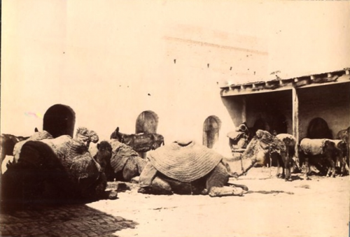 Tirage Photo Vintage Algérie (circa 1900) - Scène De Rue, Procédé Citrate, Format 7x10 Cm