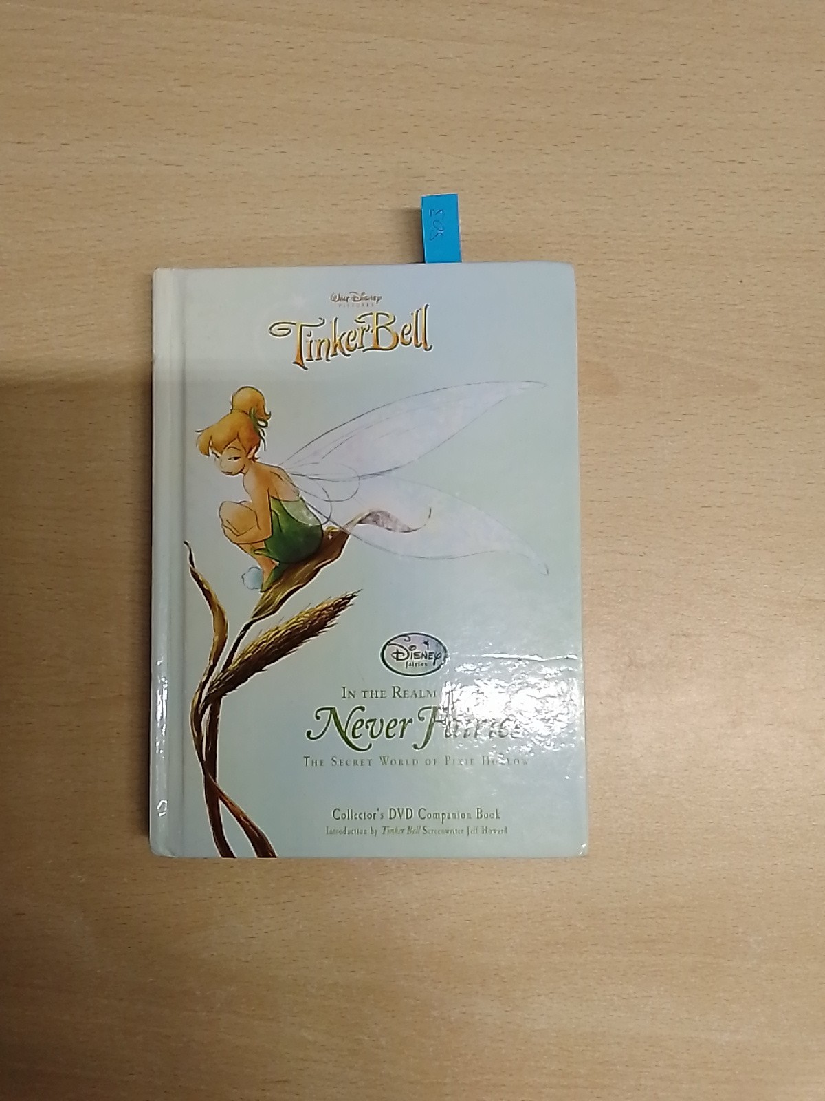 Tinkerbell In The Realm Of The Never Fairies, The Secret World Of Pixie Hollow