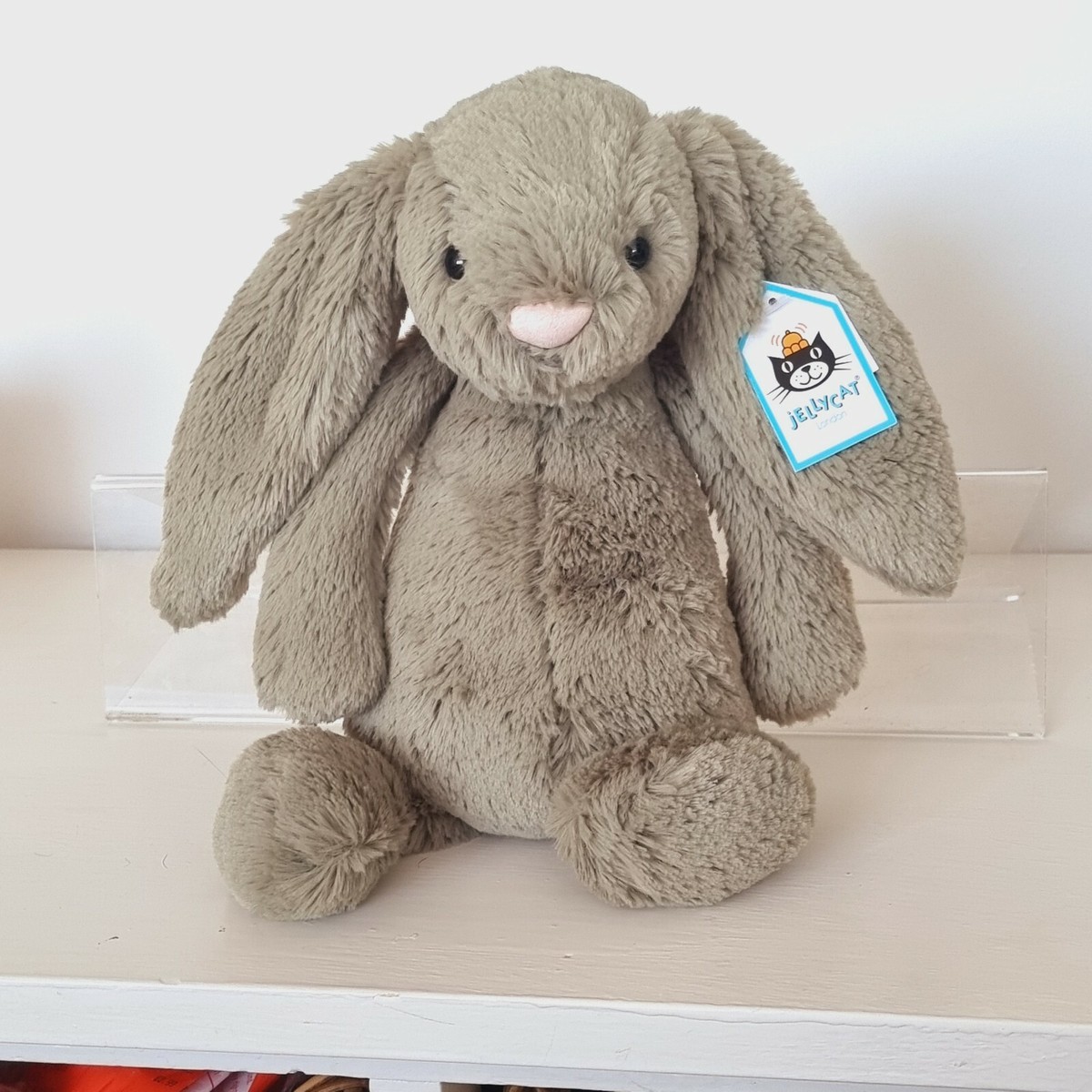 NEW Jellycat Medium Bashful Bunny Fern Bunny new with tags | eBay