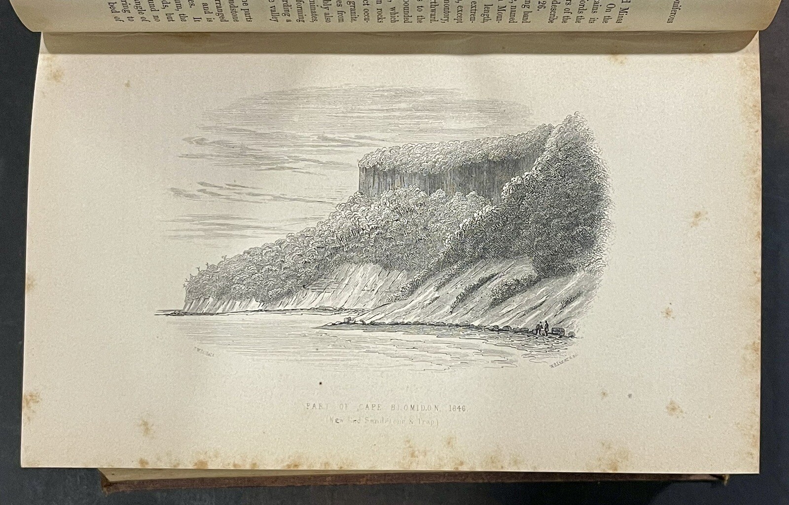 Picture 10 of 19