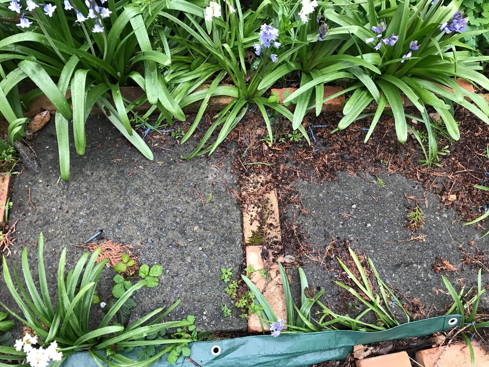 Concrete council Paving Slabs 600 x 600 x 50 [8 available] eBay