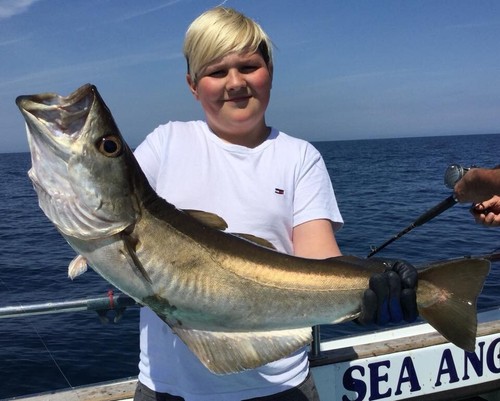 PARAVANE DELTA , TROLLING, 40, 100 or 150g. THE BEST! STAINLESS ATTACHMENTS! - Picture 12 of 15